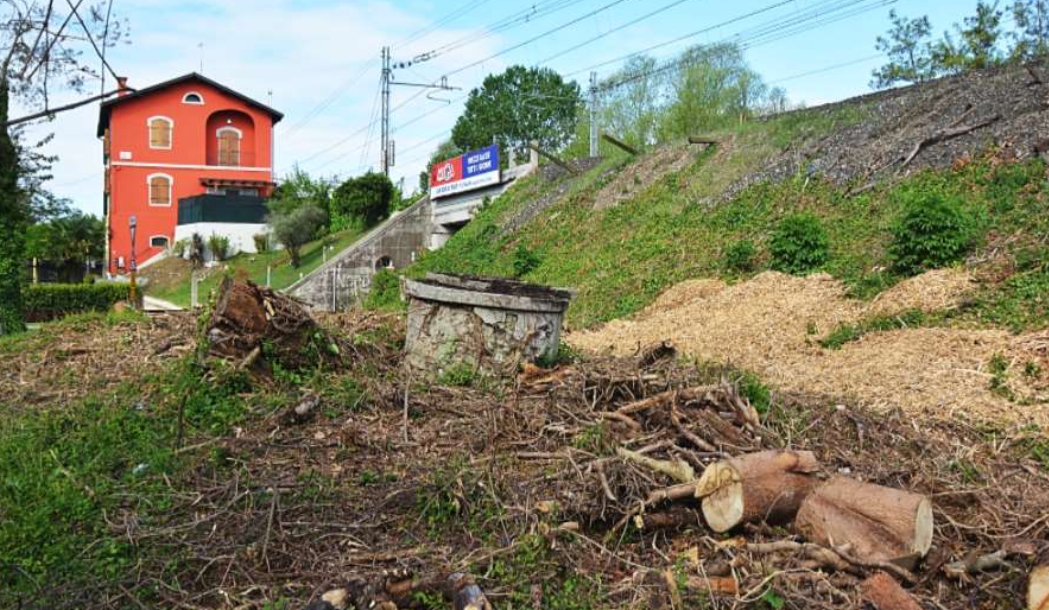 Vecchio pozzo in pietra a San Donà di Piave