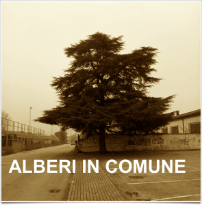 ALBERI IN COMUNE